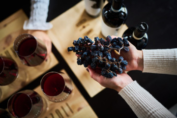 BENAZZOLI WINE EXPERIENCE
