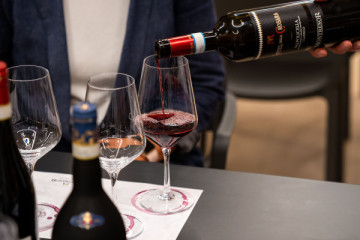Valpolicella Museo e-bike&wine