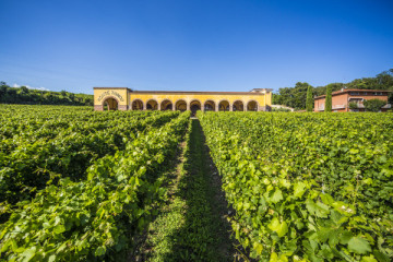 I ROSSI DELLA VALPOLICELLA 
