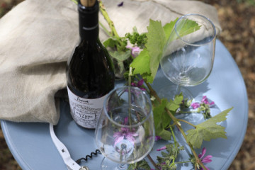 Escursione a Taranto e wine tour a Manduria da Lecce