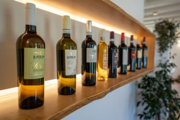 Soave e-bike&wine