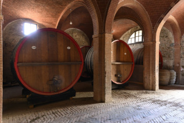 Degustazione in Villa - I Segreti di Tenuta Torriolo