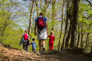 NEL BOSCO TRA NATURA E FORTINI 