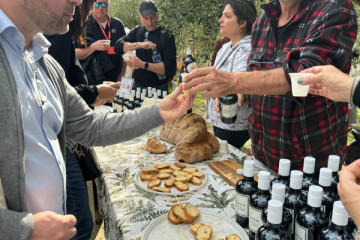 Tricarico: Visita guidata in oliveto con degustazione oli e transfer opzionale da Matera