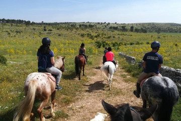 Passeggiata a cavallo a Santeramo in Colle tra Murgia e boschi panoramici