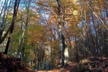 Traversata da Cavazzo a Somplago