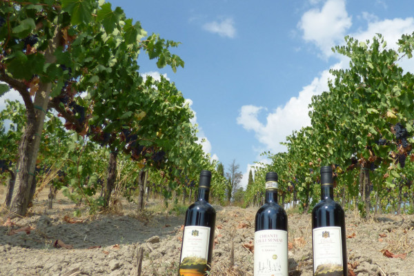 Maxi Degustazione Wine Tour A San Gimignano Azienda Agricola San Quirico