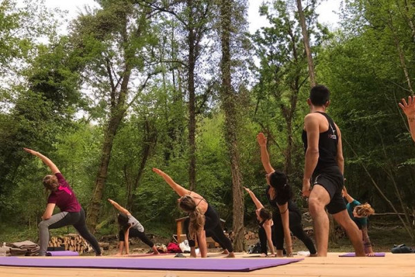 Yoga Forest