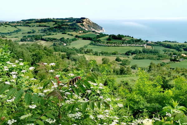 Parco del Conero