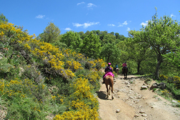 Escursione a cavallo ai piedi dell'Etna