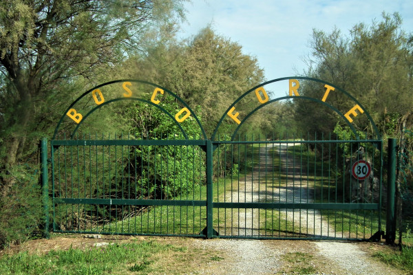 Punto di Ritrovo 