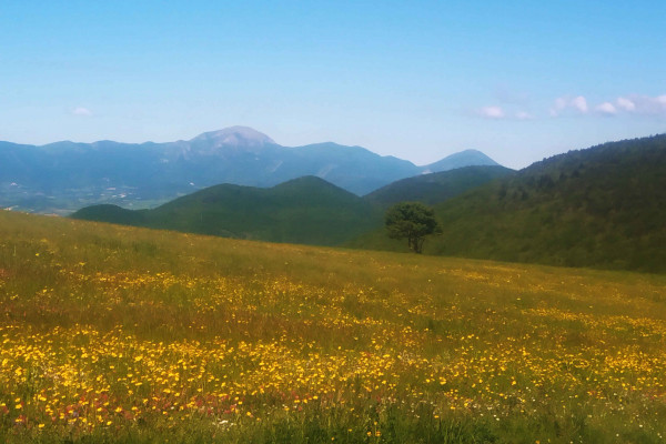 Prateria