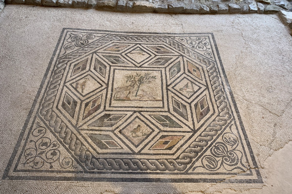 Aquileia, Domus di Tito Macro. Pavimento musivo