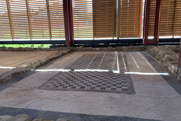 Aquileia, Domus di Tito Macro. Pavimento musivo