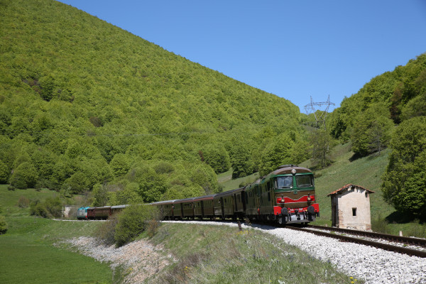 La composizione completa del treno