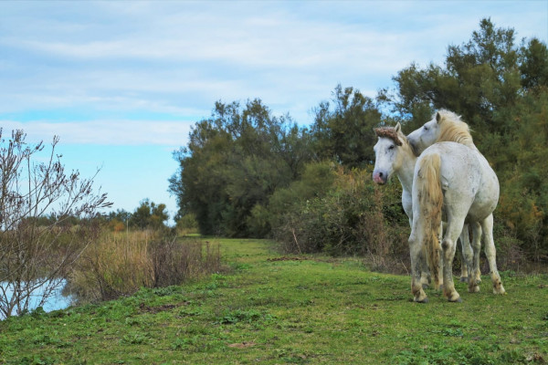 Fotografia di Daniela Zanotti