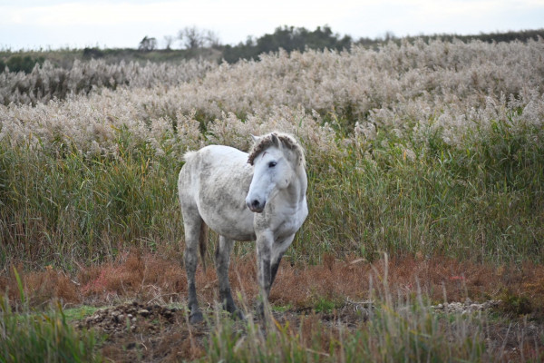 Fotografia di Stefano Cottignoli