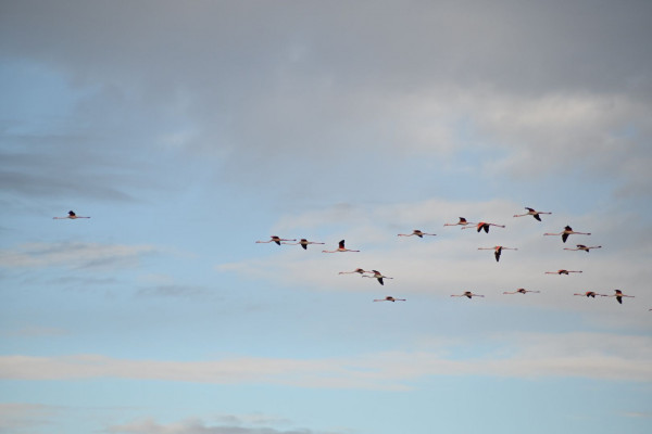 Fotografia di Stefano Cottignoli