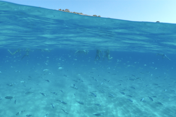 snorkeling