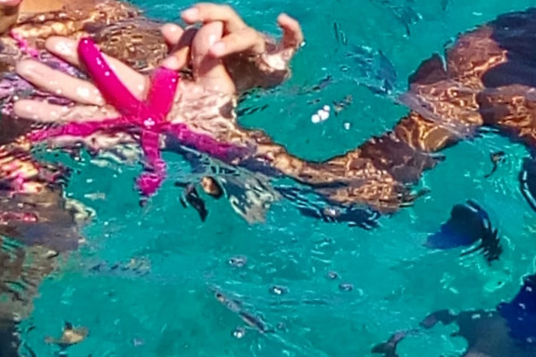 snorkeling