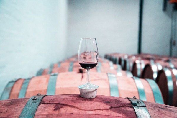 Visita in cantina per imparare la lavorazione del vino