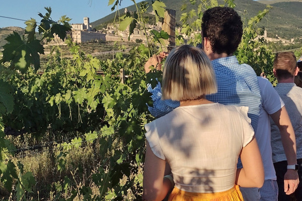 Esperienze e degustazioni ne vigneti panoramici