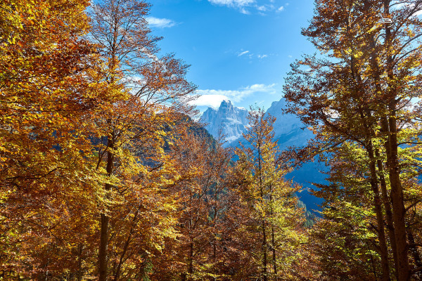 Autunno