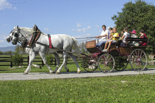 Passeggiata in carrozza