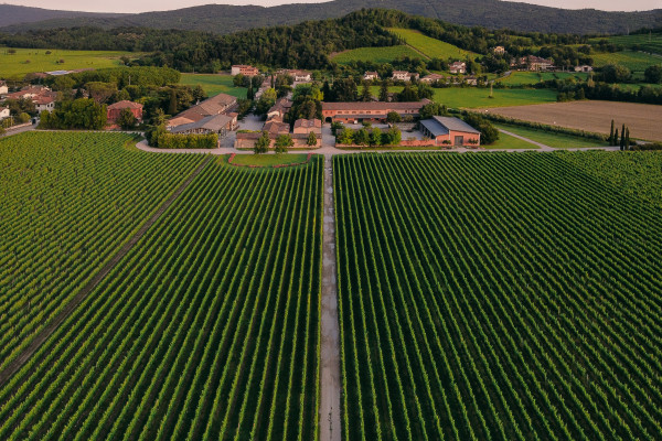 Panoramica della Tenuta Villanova