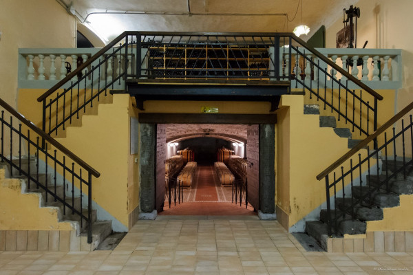 Ingresso in barricaia