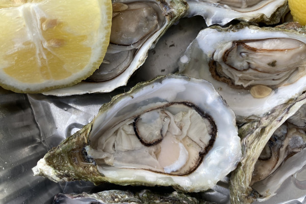 Aperitivo e cena in barca in costiera amalfitana al calar del sole da Salerno