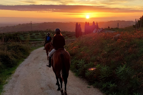 Escursioni a cavallo Sicilia
