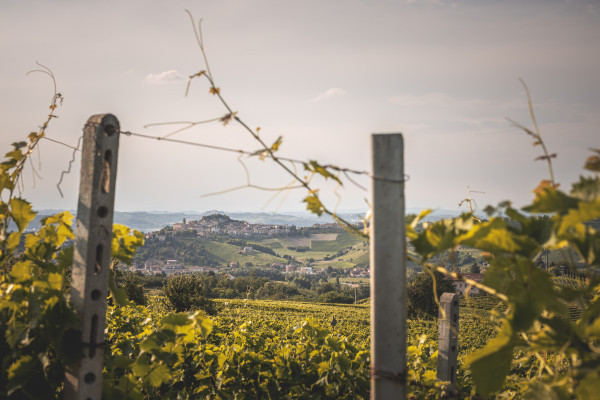 Castagnole delle Lanze