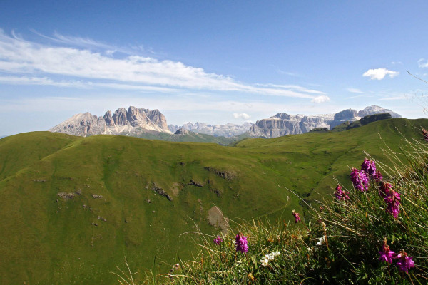 Escursione guidata I Suoni delle Dolomiti - Col Bel
Archivio APT Val di Fassa