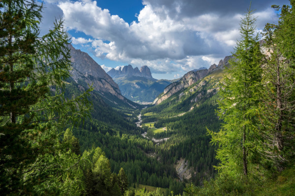 Escursione guidata I Suoni delle Dolomiti - Val Contrin
Archivio Apt Val di Fassa