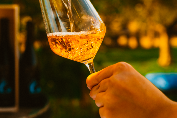 rosè wine cannonau