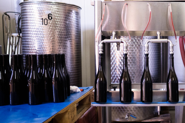 the wine cellar
