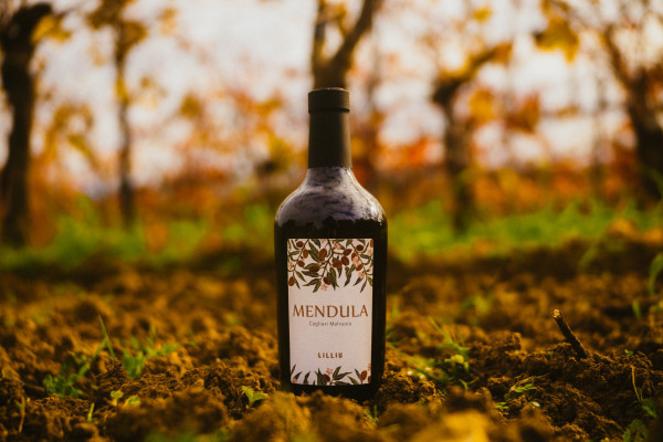 dry malvasia 