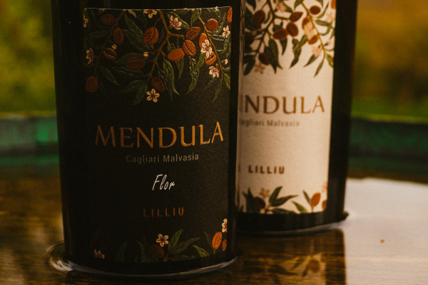 wines