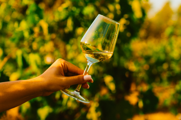 wine