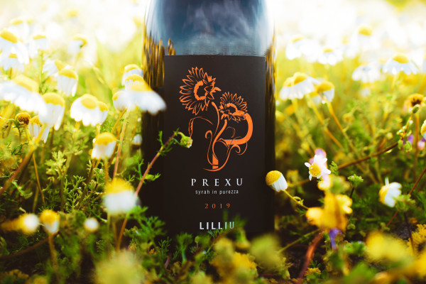 syrah wine