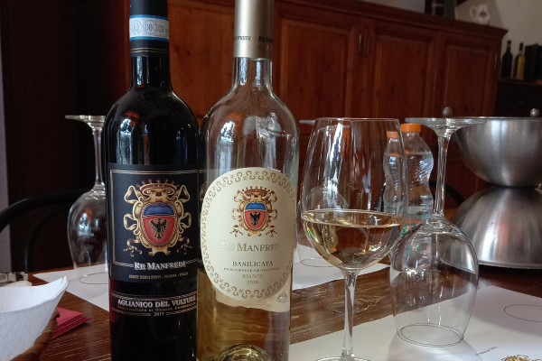 54_WINEMAN4