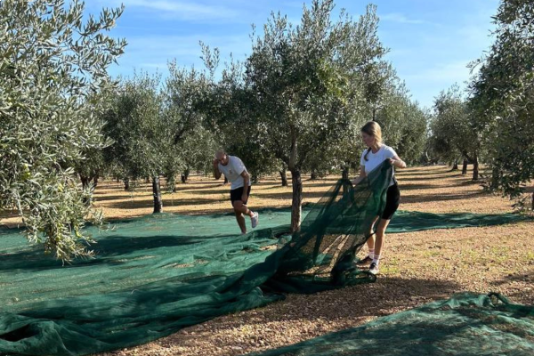 FARMING1