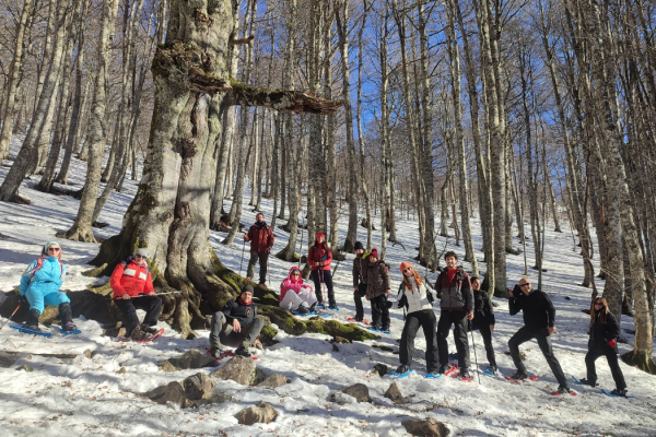 53_SNOWPOLLINO3
