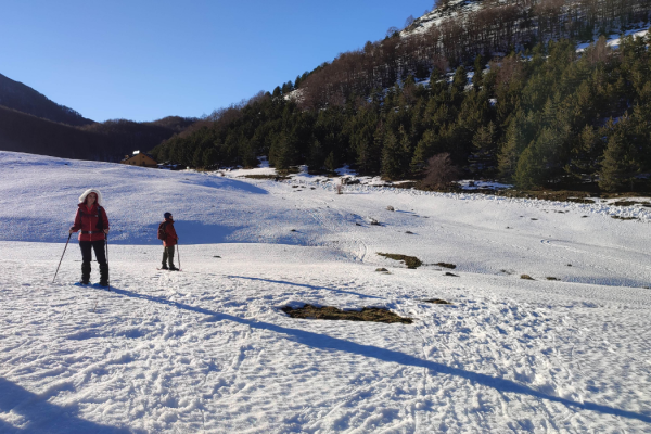 53_SNOWPOLLINO4