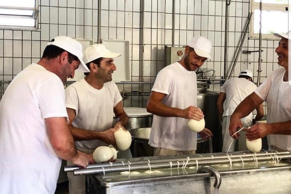 Tour Privato: Paestum, Visita guidata Mozzarella Bufala e pranzo incluso