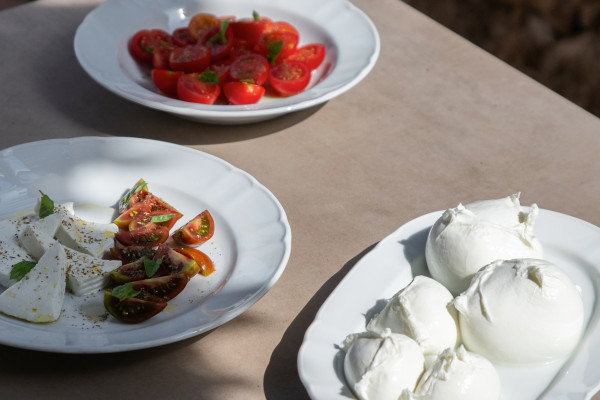 Tour Privato: Paestum, Visita guidata Mozzarella Bufala e pranzo incluso