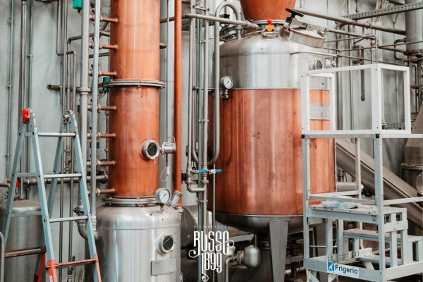 Tour Guidato con Distilleria, Limoncello, Corso di Cucina e Pranzo
