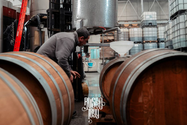 Tour Guidato con Distilleria, Limoncello, Corso di Cucina e Pranzo
