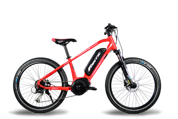 Fantic Junior 24